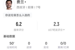費蘭半場數(shù)據(jù)：3射門1射正1中框 丟失球權(quán)14次 地面對抗6成功0配圖